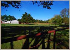Southern Blues - Facilities