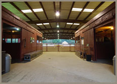 Southern Blues - Training/Instruction