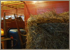 Southern Blues - Training/Instruction